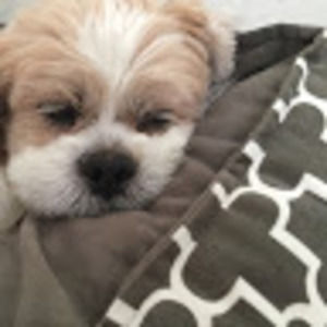 Meet your Posher, Nymphadora